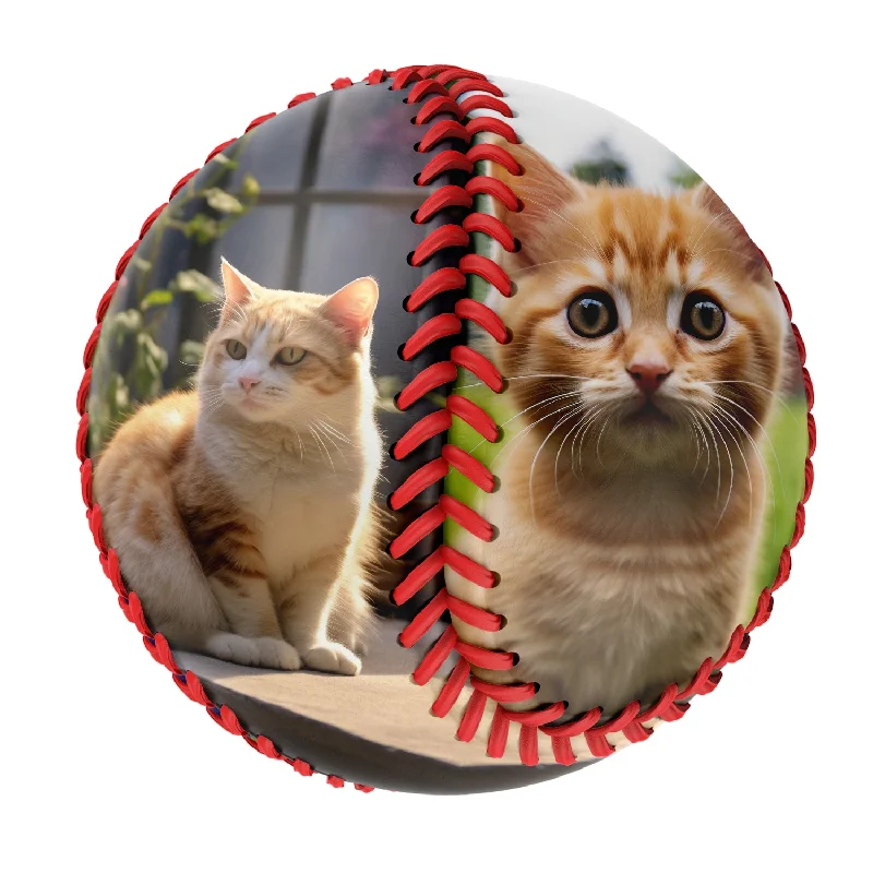 Baseball Workout-Personalized 2 Pet Cat Photo Baseballs